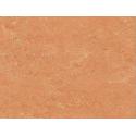 Parquet en Linoléum naturel